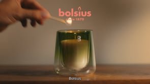 Bolcius